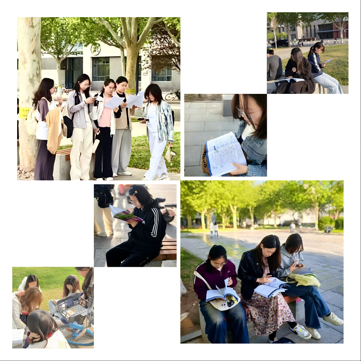 WPS拼图0.png